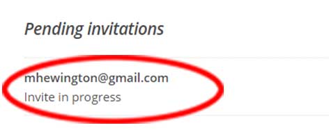Check to see if the MailChimp invertaions is pending Check to see if the MailChimp invertaions is pending