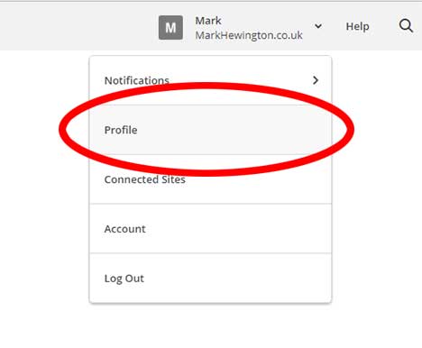 Click the tab labbeled profile Click the tab labbeled profile