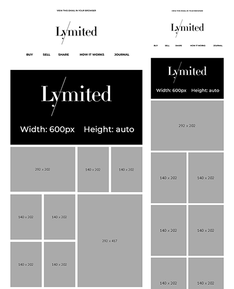 Email Templates Created For Lymited Marketing Ecommerce desktop & mobile design